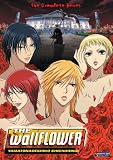 The Wallflower: The Complete Series