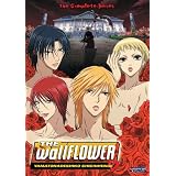 Wallflower Comp Series