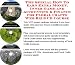 The Special How To Earn Extra Money, Inner Game and Accounting & Finance for Floral Crafts Web Biz 3 CD Course