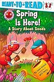 Spring Is Here!: A Story About Seeds (Ant Hill)