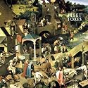 Fleet Foxes