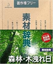 素材辞典 Vol.134 森林・木洩れ日編