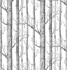 Share Facebook Twitter