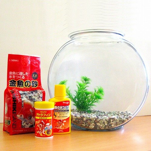 金魚鉢セット　ドラムタイプ
