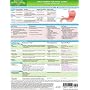 MemoCharts Pharmacology: Drug therapy for peptic ulcers (Review chart) (Paperback)