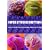 Super Stitches Knitting: Knitting Essentials Plus a Dictionary of More Than 300 Stitch Patterns