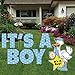 VictoryStore Yard Decorations: It's A Boy Yard Card Letters & Stork Baby Announcement, Set of 9 with Stakes 12349