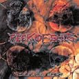 Deface Mind [Explicit]