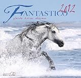 Produkt-Bild: Fantastico 2012
