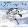 Fantastico 2012