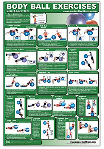 Body Ball Upper & Lower Body Exercise Laminated Poster/Chart - Total Upper & Lower Body Workout - Your Personal Trainer, Fitness Program for Women & ... Your Legs -Glutes & Upper Body - Motivational
