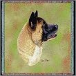 Akita Lap Square - 54 x 54 Blanket/Throw