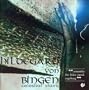 Hildegard Von Bingen: Celestial Stairs