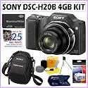 Sony Cyber-shot DSC-H20 10.1MP Digital Camera + 4GB Accessory Kit