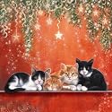 Warm Glow Cats & Kittens Christmas Cards Pack