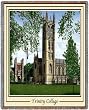 Trinity College Chapel Throw - 70 x 54 Blanket/Throw - Trinity Tigers
