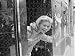 Jigsaw of Lauren Bacall-robertfredericks-hollywoodstars1004 from MirrorPrintStore