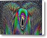 IMAGE OF Peacock Falls Canvas Print / Canvas Art - Artist Tim Allen