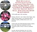 The Guerilla Marketing, Building Effective Lead Capture Web Pages, SIVA Marketing for No Money Down Real Estate Courses Businesses