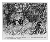 Library Images