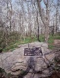Springer Mountain, Georgia, Appalachian Trail Photograph - Beautiful 16