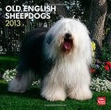 Old English Sheepdogs 2013 - Bobtails - Original BrownTrout-Kalender