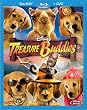 Treasure Buddies (Two-Disc Blu-ray/DVD Combo)