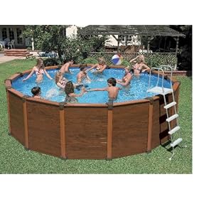 16' x 8 x 49 Sequioia Spirit Wood-Grain Frame Pool Set (with Filter Pump, Saltwater System, Ladder,... by Family DVDs
