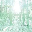 sacred forest