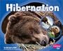 Hibernation (Pebble Plus)
