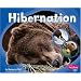 Hibernation (Pebble Plus)
