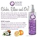 Half Time Hair Blow Dry Miracle Dual Purpose Spray with Thermal and Color Protection Professional Size, 8 oz.