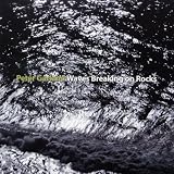 Waves Breaking on Rocks; The Roque Dalton Songs