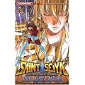 Saint Seiya - The Lost Canvas, Tome 4 :