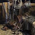 Dawson Rancher's Gear Canvas Giclee(16 x 16")