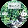 How to Recognize and Trust Your Inner Guidance: Treasures Along the Path