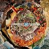 Image of album by Company of Thieves