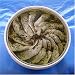 Anchovies in Sunflower Oil with Basil - 2.2 lbs