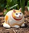 Medium portly, cat