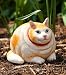 Medium portly, cat
