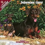 \"Dobermann