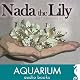 Nada the Lily