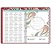 AT-A-GLANCE Desk Weekly / Monthly Appointment Book 2016, Playful Paisley, Premium, 5.5 x 8.5 Inches (952P-200)
