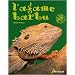 L'agame barbu