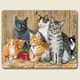 Barn Cats 15 x11.5 inch Tempered Glass Cutting Board