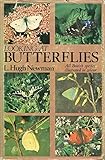 Looking at butterflies
