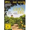 Lemon Tree