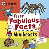 Minibeasts