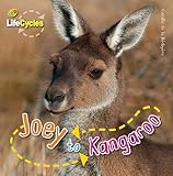 Joey to kangaroo