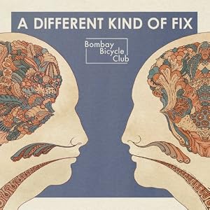 Different Kind of Fix review